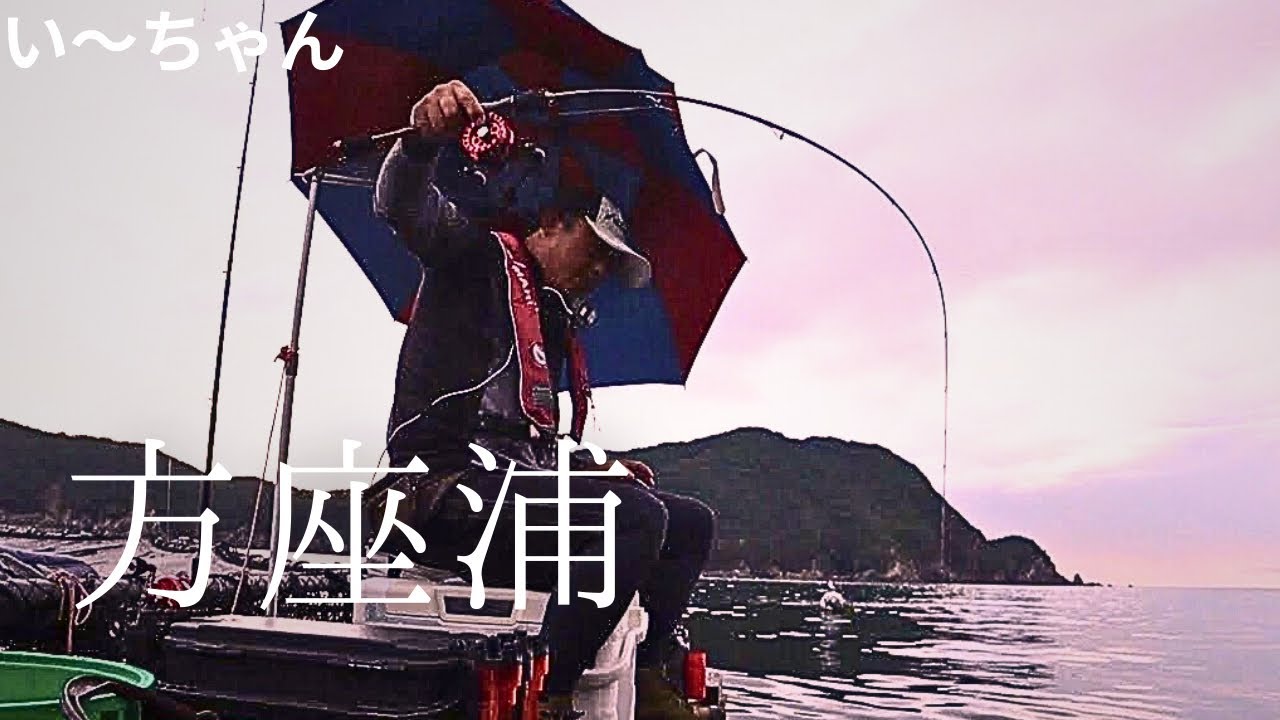 真夏に異常低水温⁉︎ 南伊勢町の養殖コワリから大物狙い！　三重県南伊勢町方座浦　NISHIBORI渡船