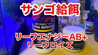 【海水水槽】サンゴ給餌　リーフエナジーAB +  リーフロイズ　サンゴ　餌