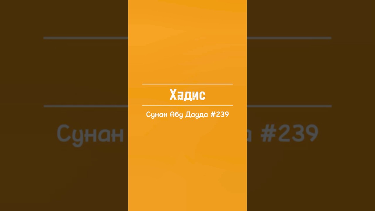 Сунан Абу Дауда 