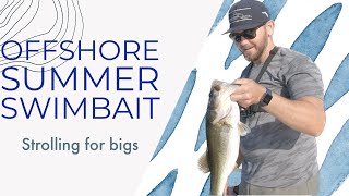 Summer Lake Breakdown for BASS- Match the Hatch (Or Shad)