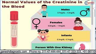 Creatinine Levels Test, Prevention And Treatment Ganesh Diagnostic