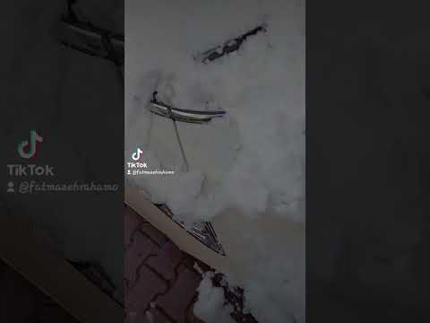من بعد مليار يوم نزل تلج نحن عنا تلج و انتو مافي ننننا