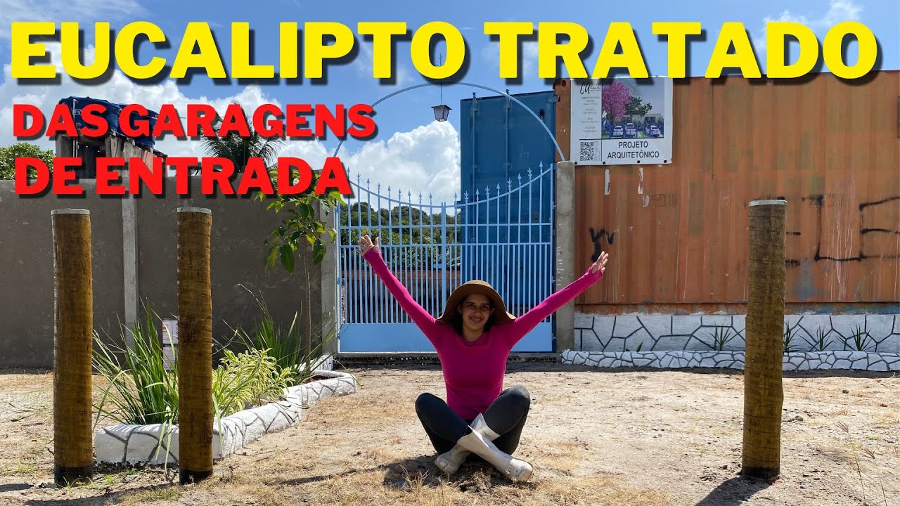 EUCALIPTO TRATADO NA ENTRADA DA CASA CONTAINER 60M2 🏠 | Melhor De Dois ...