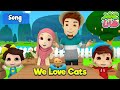 We love cats  omar and hana urdu  islamic cartoon