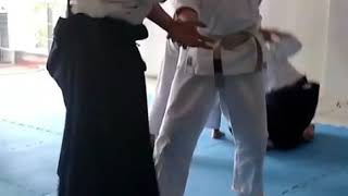 ASA Rosario DOJO Mushin Clase de Danes