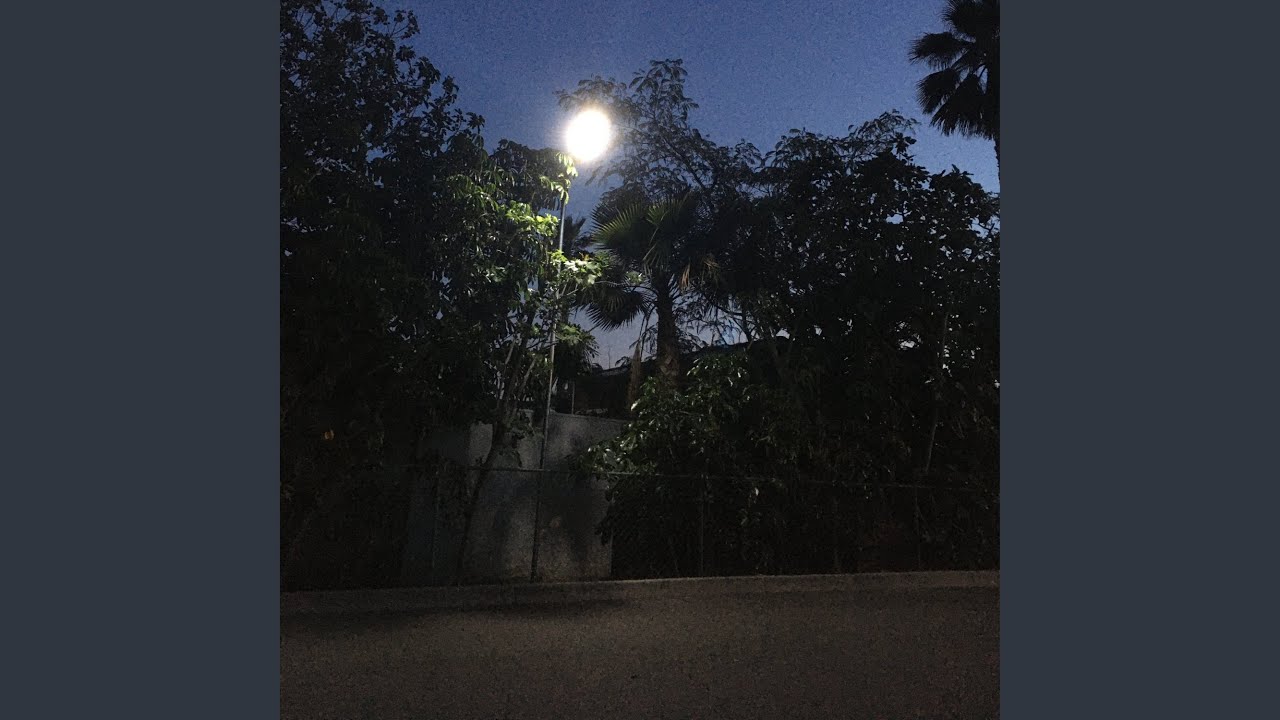 YouTube에서 loyal 보기 YouTube에서 loyal 보기