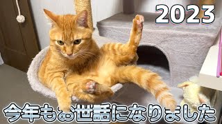 【2023】メリークリスマス良いお年を