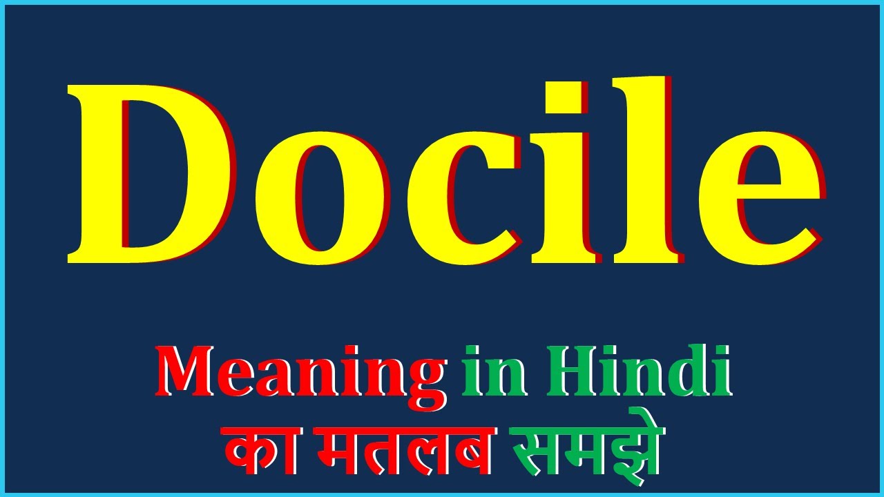 Docile Meaning In Hindi Docile Docile Means Docile docile-meaning-in-hindi-docile-docile-means-docile