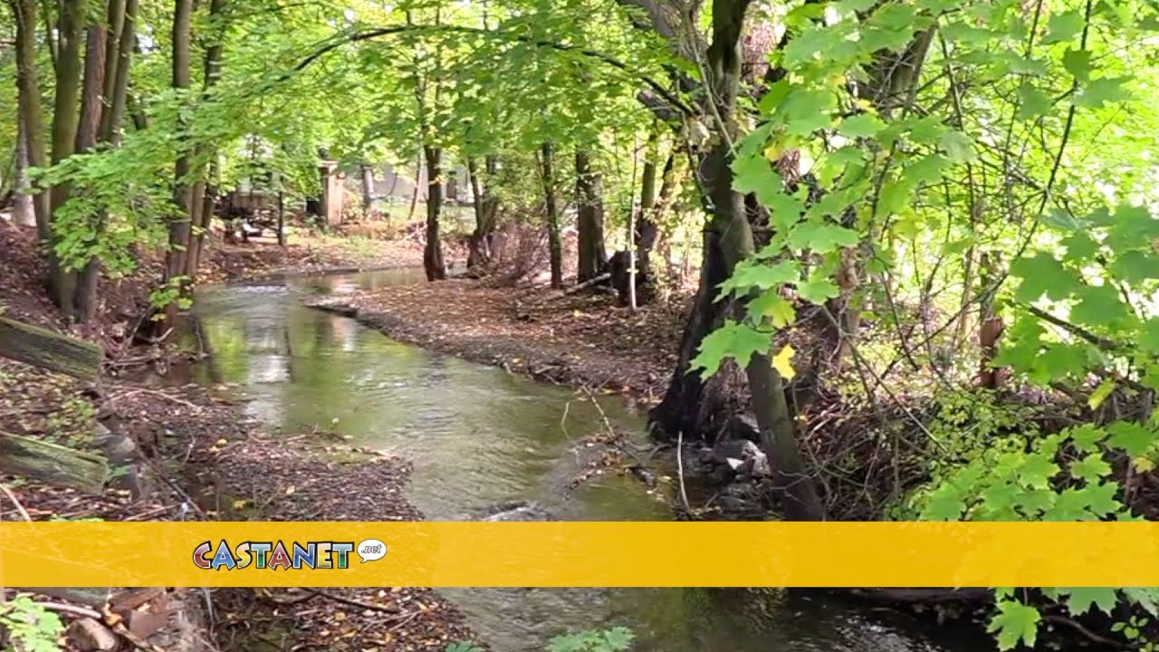 Fall warmer than normal - YouTube