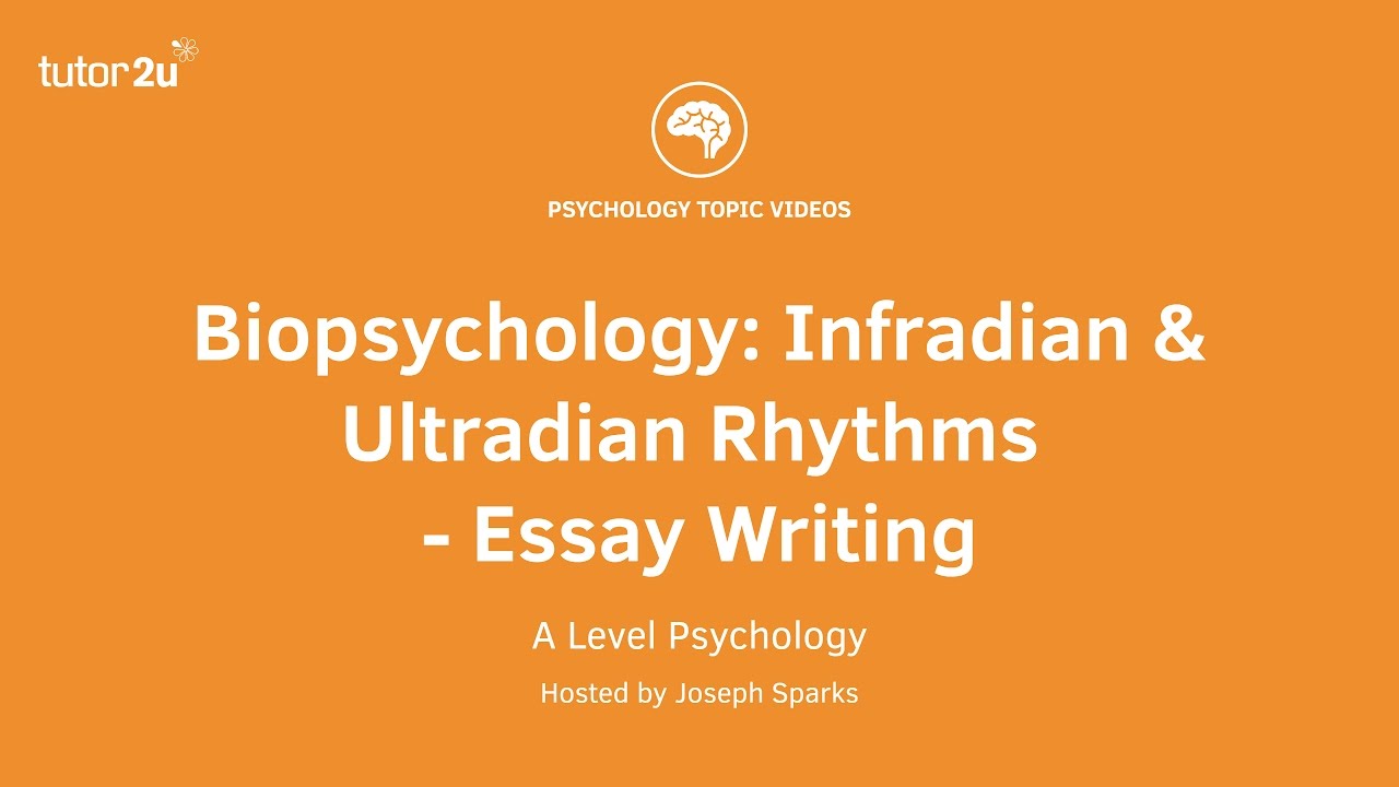 Ultradian rhythms psychology image
