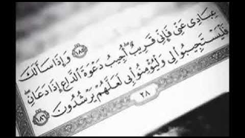 وإذا سألك عبادي عني فإني قريب حالات واتس اب قرآن كريم