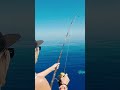 Amazing !! Lady Angler Hook Up Big Fish #fishing #fishingvideos #fishingshorts #bigfish