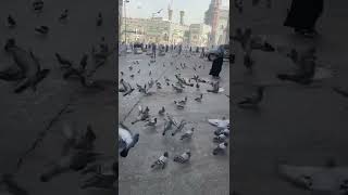 نوراً في الأجواء تألق🦋🕋اللهم اجعلنا ممن يزور بيتك الحرام🤲