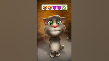 #cat #song.  #video  #676 🤬🤬👿👿✅😂