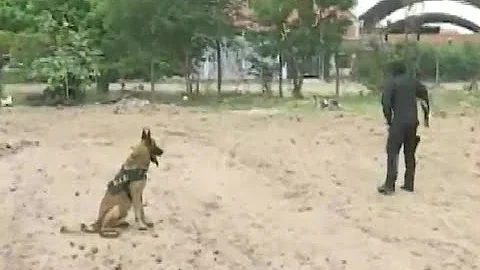 Así se celebra el aniversario del Centro de Adiestramiento de Canes