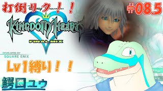 【キングダムハーツFM】Lv1でも闇と戦えます…！ #08.5 【鰐口(わにぐち)ユウ Vtuber】
