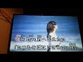 My Love 川嶋あいcover
