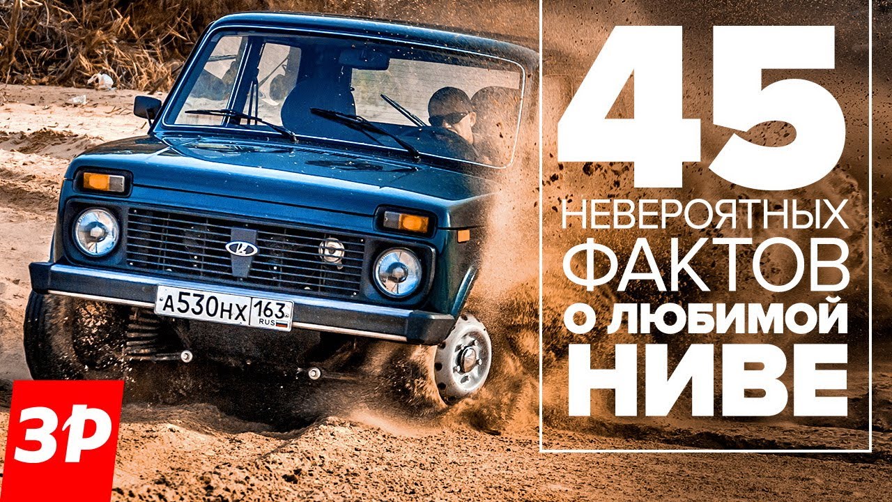 что такое шнива