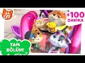 44 Kedi | 100 DAKİKA Tam Bölümler!