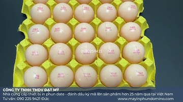 máy in phun mã số lên trứng gà | in phun date nsx lên vỉ trứng gà | máy in phun date |LH: 0902259421