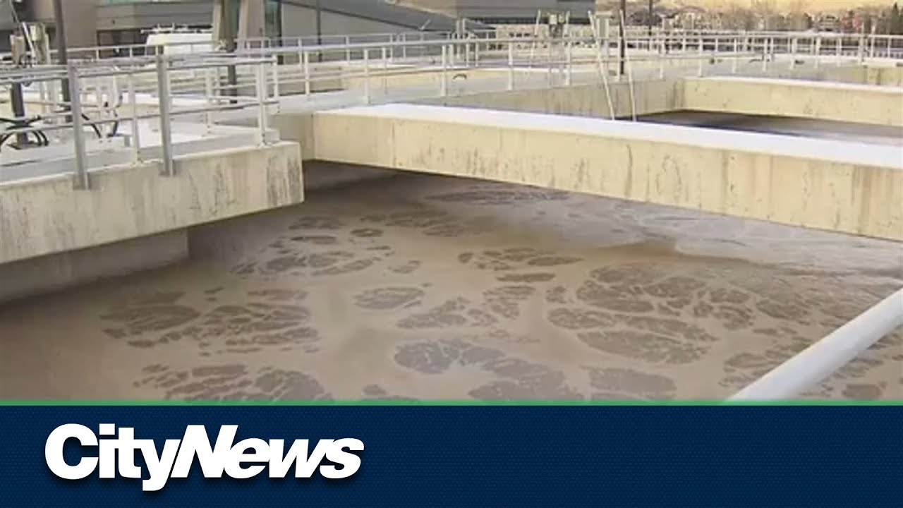 Carfentanil levels spike in Alberta wastewater