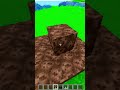 Wither Portal Minecraft 😰
