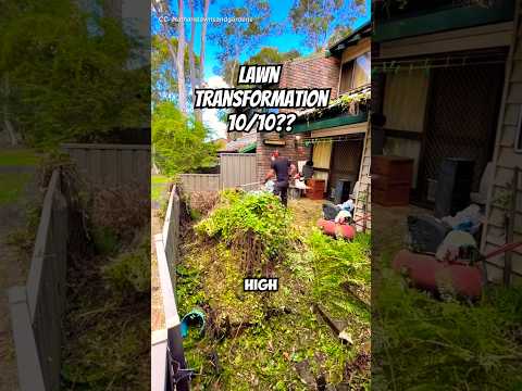Shocking Lawn Transformation