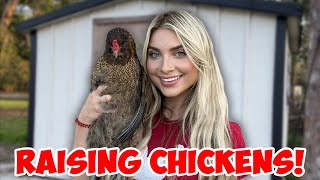 How To Raise Backyard Chickens During an Egg Crisis! *Beginner Guide to Raising Chickens*