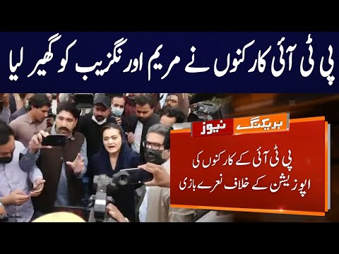 PTI Supporters Fight PML N Leaders During Media Talk