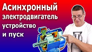 Запуск асинхронного электродвигателя. Устройство электродвигателя. Контактор, кнопка, кнопочный пост