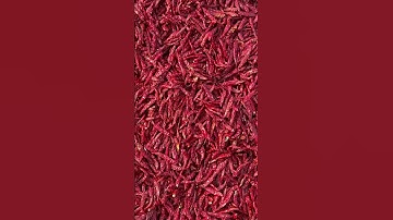 Red Chilli Export 🌶️🌶️