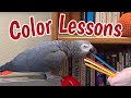 Color Lessons with Jeff