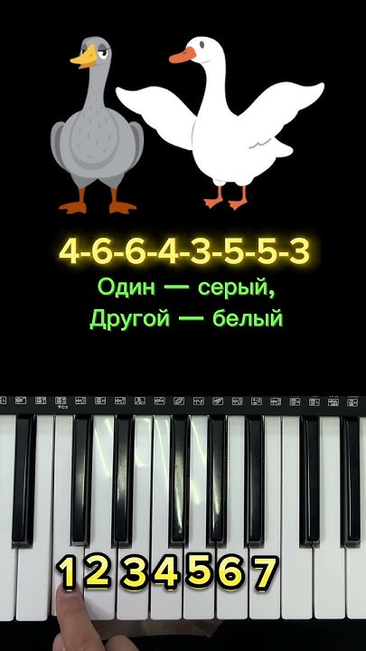 Два веселых гуся на пианино #piano - YouTube