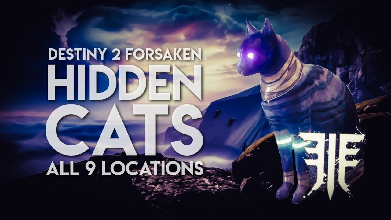 Destiny 2 Cat Locations All 9 petfinder