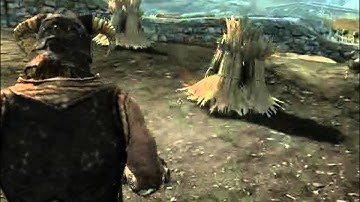Skyrim mod - Animations. Camera movement preview