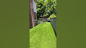 Before having artificial turf and after having artificial turf