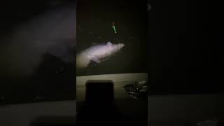 Night fishing on Missouri River