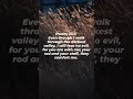 Psalm 23:4 | Daily Verse | Commentary in description #verseaday