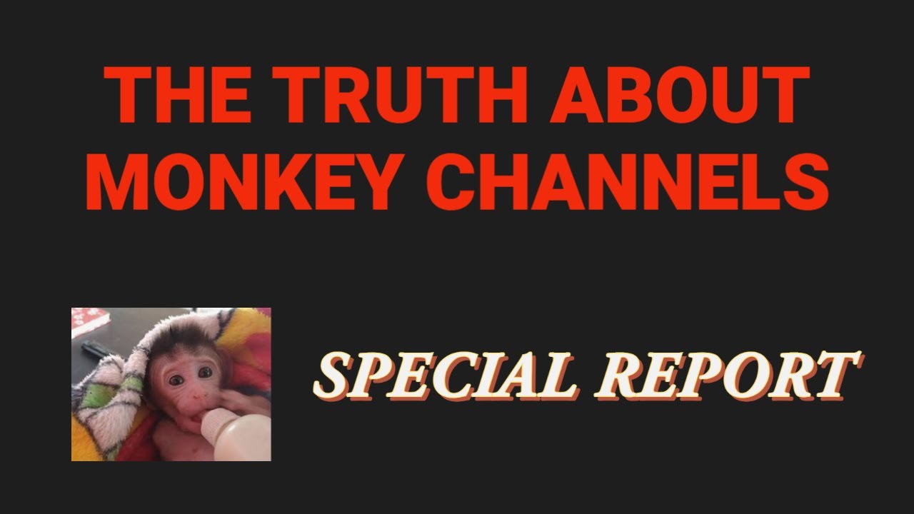SPECIAL REPORT - The truth about monkey channels - PART 1