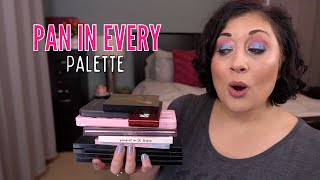 Pan in Every Palette Project Pan & Project Level Up | Update #37! #projectlevelup #panineverypalette