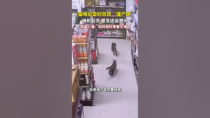 小貓“僵屍跳”見過嗎？若不是親眼所見，我是萬萬不會相信的（@新華社快看）#China #有趣 #僵尸跳 #僵尸 #小猫 #猫咪