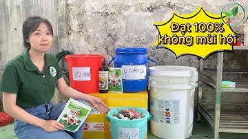 Tự ủ phân cá 100% không mùi hôi, dễ làm, cách ủ đơn giản