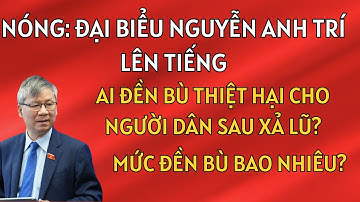 Xả Lũ Thủy Điện Nhỏ: Ai Đền Bù Thiệt Hại Cho Người Dân? Đại Biểu Nguyễn Anh Trí