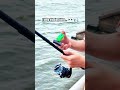 The Bite Alarm Just Went WILD! #Fishing #BiteAlarm #BiteBeacon #FishOn