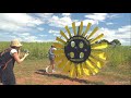 Ever tried Sunflower Picking? its 👌