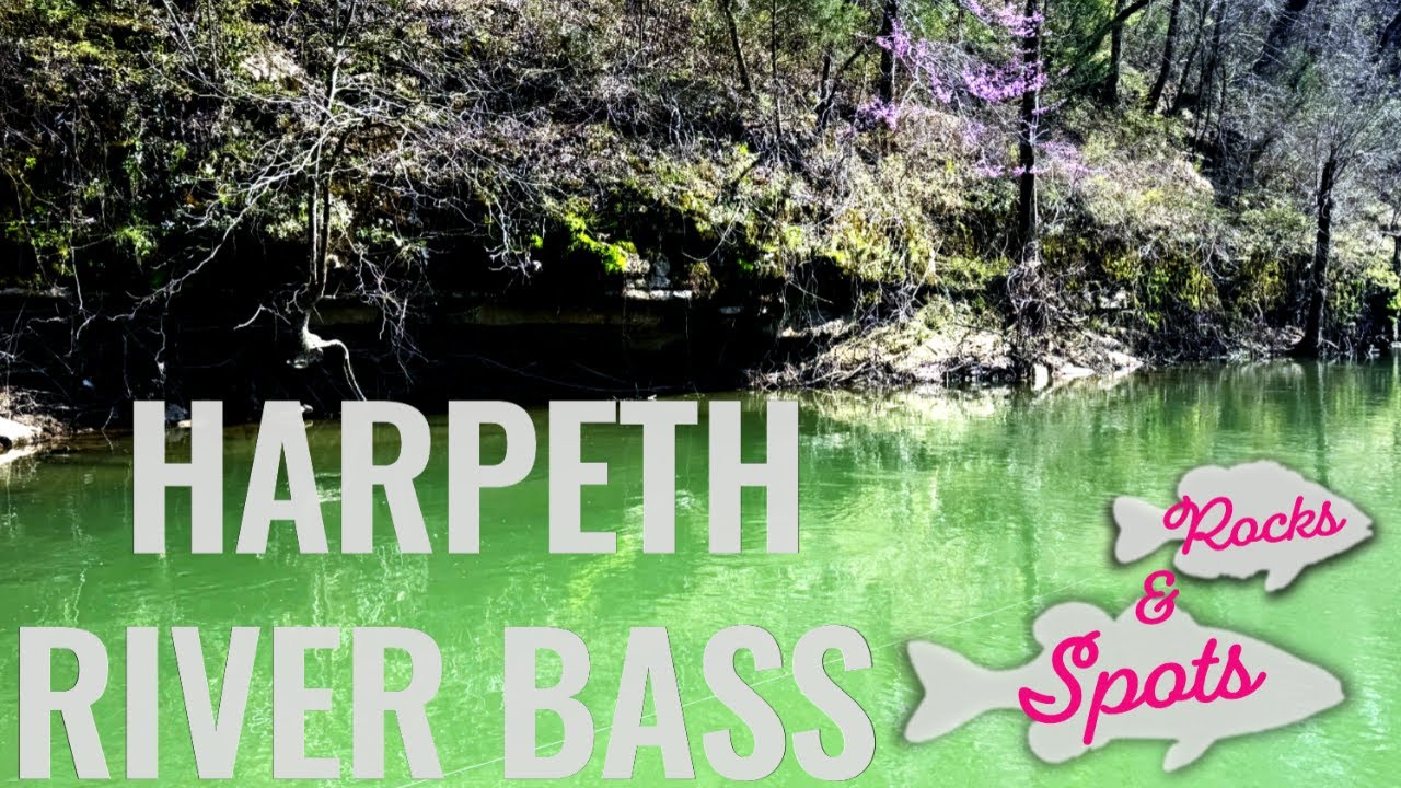 Harpeth River Spring Smallmouth Ned Rig Fishing – Resulting in Rock Bass and Spotted Bass