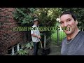 TRIMMING OVERGROWN TREE BUSHES Part 2