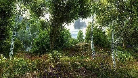 Unity Asset Store Pack - Realistic Nature Environment models (Download link in description)