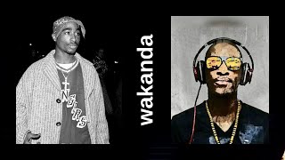 Ivan Afro5 & 2pac - Wakanda (edited) Resimi