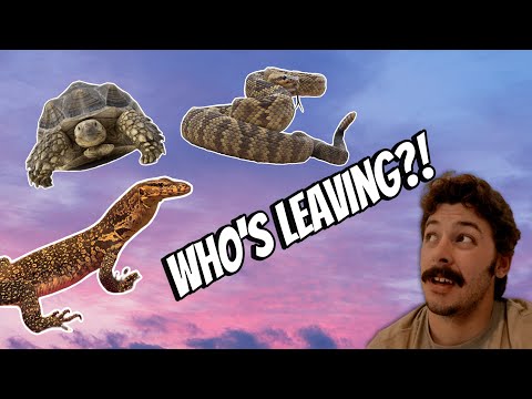 Saying goodbye to one of my favorite animals..